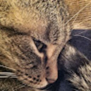 Meet your Posher, Sonia